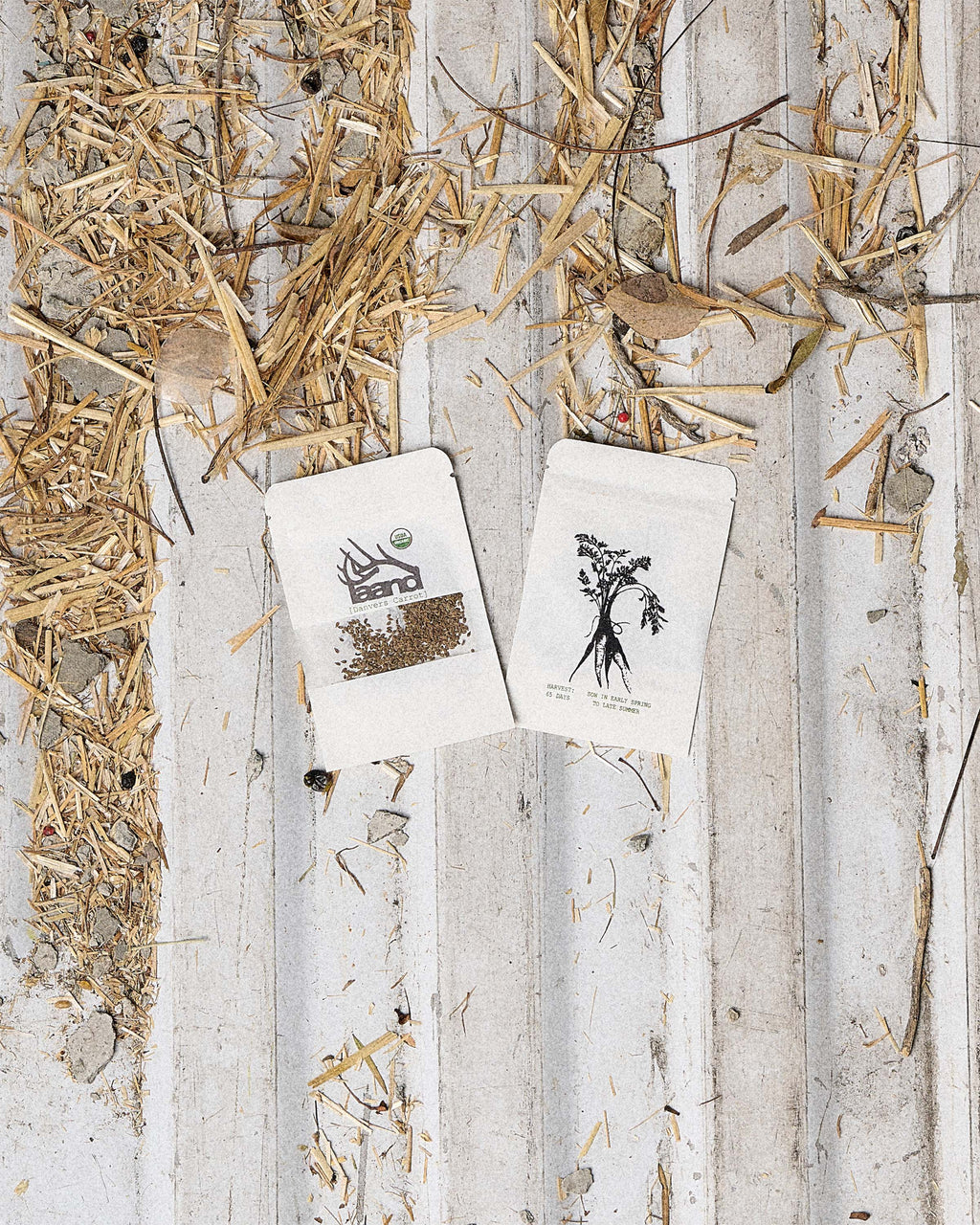 Organic Danver Carrot Seeds