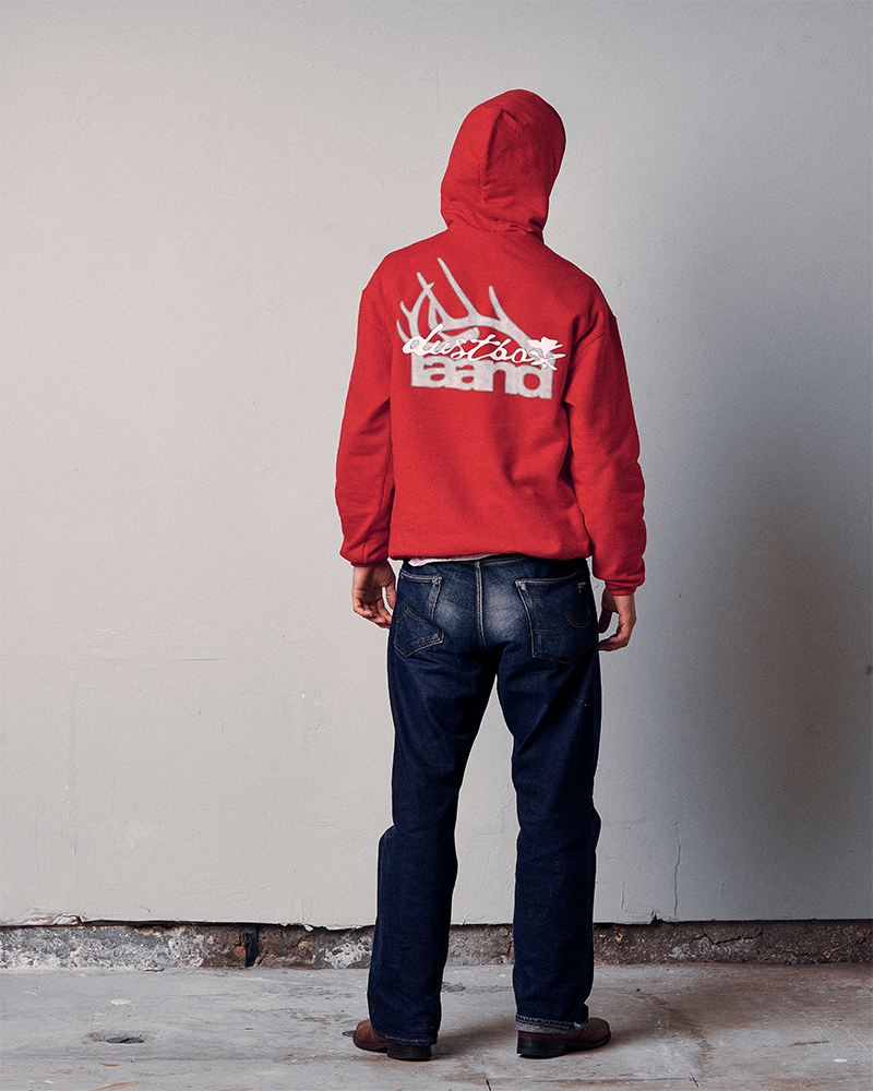 laand x Dustbox [hoodie]